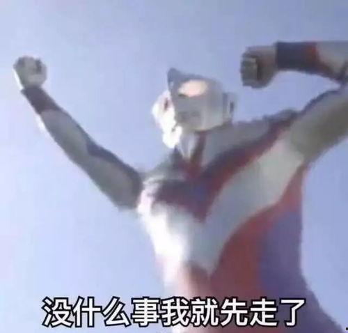 娱乐吃瓜焦俊艳,从吃瓜群众到焦点人物，娱乐圈的蜕变之路