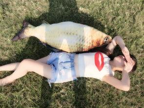 娱乐吃瓜钓鱼视频大全集