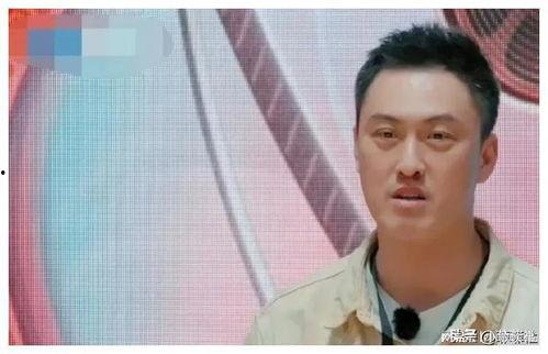 娱乐圈真实吃瓜,揭秘明星们的真实“瓜”事