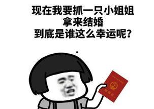 请叫我娱乐吃瓜