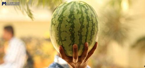 娱乐圈吃瓜2021,吃瓜群众的热议焦点回顾